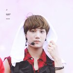 [카이] 카이 <b>수건</b>쓴 강아지야