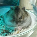 <b>명상</b>중인 언뇬이