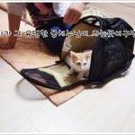 [고길동] 고길똥!!