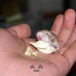 우<b>쭈쭈</b> 밥먹쟈