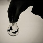 예쁘고 신기한 전구아트 모음