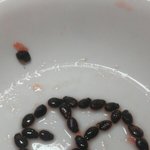 [EXO] 이젠하다하다<b>수박씨</b>로도덕질을^0^