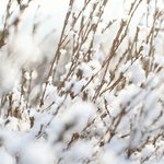 [핍박받는자] 핍박하는 자와 핍박받는 <b>자의</b> 정체