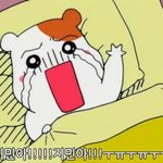 [방탄소년단] 방탄 팬짤? <b>덕후</b>짤?