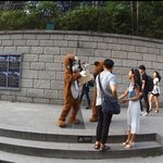 퇴근길에 낯선사람이 건넨 <b>장미</b> 꽃