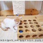 [고<b>길동</b>] 고길똥!! 2편