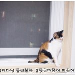 [고<b>길동</b>] 고길똥!! 3편
