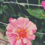 [드루와] 입술색 어떤게 예뻐?(<b>미리</b>보기예방사진)(사진있음)