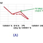 [다이어트] 다이어트 비법서 08