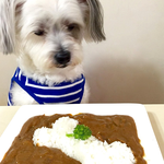 개무룩... 냥<b>무룩</b>.... 