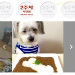 [ㅋㅋㅋㅋㅋ] ㅋㅋㅋ 정말 기발한 사람들 많은 듯