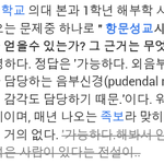 [팬픽] ㅅㄷ)역시 서1울대클라스