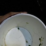 사진 有 극혐주의) 피시방 알<b>바중</b> 발견한 컵라면 용기 속 털의 정체...