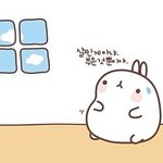 [다이어트] 다이어트 비법서 13
