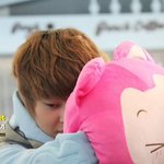 [시우민] 아리<b>쿠션</b> 수ㄹ ㅑㅇ 조사한데요~