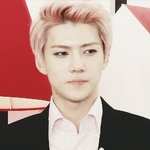 [EXO] 이움짤움직여?