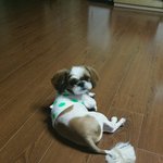 <b>내사</b>랑~엄마껌딱지!!!