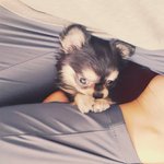 [<b>김</b><b>탄</b>] 사랑스러운 <b>김탄</b>을 소개합니다