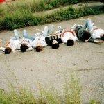 [인피니트] +입금