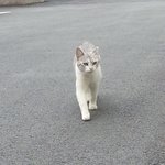 [EXO] 우리아파트에 <b>성묘</b>있는데