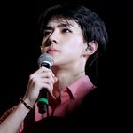 [EXO] <b>독도</b>피켓만들어본사람