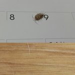 묻고답하기 <b>답변</b>이없어서 여기다가 다시올려봐요 