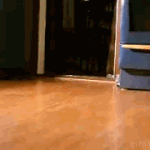 [EXO] <b>불독</b>이는 없당