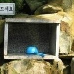 강한 배신감 느껴지는 <b>사진들</b>