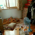 진돗개엄마 + 스피츠아빠 