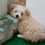 [함안길천사] 공장지대 빈터에서 생명을 이어가던 두번째.