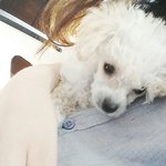 우리 회사의 새 가족 말랭이와 그림이를 소개합니다!