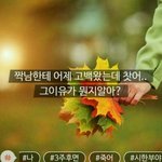 [망햇군] <b>모씨</b>망했네ㅋㅋㅋㅋㅋㅋㅋㅋ(추가함!