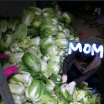 [내가한요리] 시집가고싶은 27세 솔로녀성 요리! 2