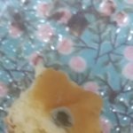 [꼭조언부탁] 곰팡이 핀 빵 팔아놓고 오히려 욕하던 슈퍼사장