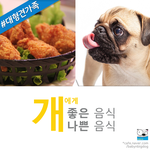 [<b>꿀팁</b>] 개에게 좋은 음식 &amp; 나쁜 음식