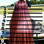 [댓글부탁] 다들 <b>머리길</b>이 어느정도야?