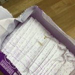 [도와주세요] <b>생리대</b> 뜯자마자 애벌레가 있어요 ㅠㅠ