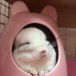 [EXO] 애들아 얘 <b>바비</b> 닮았지 않아?