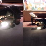 [카이] <b>종인</b>이 이거 뭐하는거지?