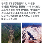 [드루와] <b>아진</b>심평창올림픽미친듯;