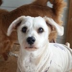 [동해] <b>앤드류</b>야.. 어디에 있는거니..? 