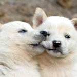 [EXO] 솔직히 산부인과 <b>정기</b>적으로 <b>검진</b>받아야되는데
