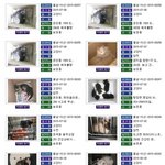 (<b>아산</b>시보호소) 내일 안락사 위기에 처한 불쌍한 냥이들이 살수있도록...