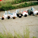 [인피니트] 투표해서 추월했네