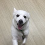 복날잘피해가며 다들잘지내?