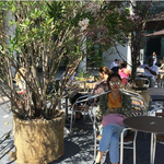[공효진] 공효진 베를린 여행 직찍 공개!