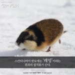 [동기<b>부여</b>] 남들과 다른 길을 간다는 것