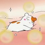 [설렘] 나 고백 받았어ㅠㅜㅜ