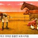 동물보호 단체의 이중성