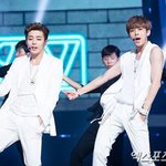 [댓글부탁] +트윗추가)중국인 아이돌 또 뒤통수침